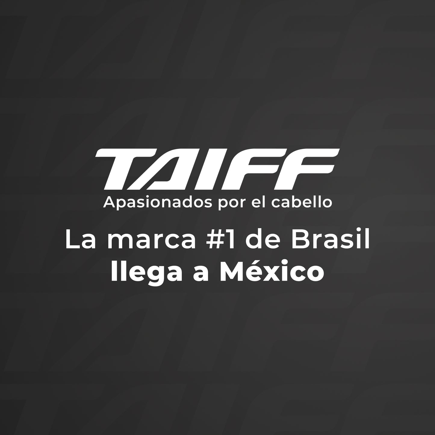 Plancha Titanium Progress